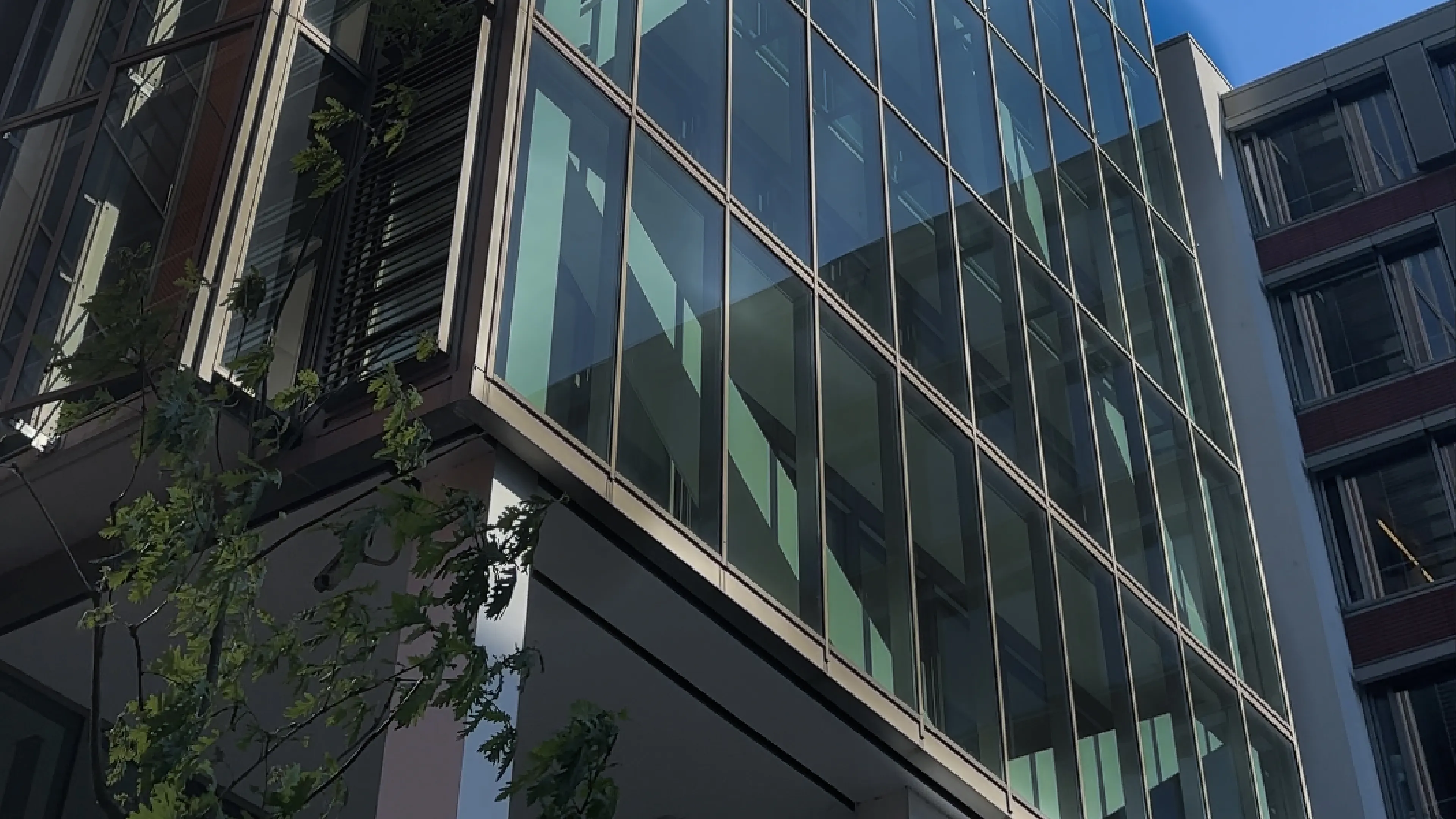 Tagueri Office Hamburg with large glass front